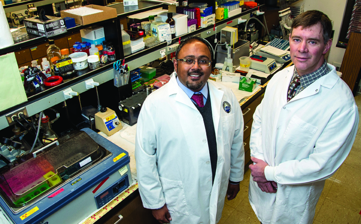 Research Professors Sarj Patel, left, and Tom Rau study proteins in the brain and microRNA molecules in the blood that may indicate the existence and severity of traumatic brain injuries.